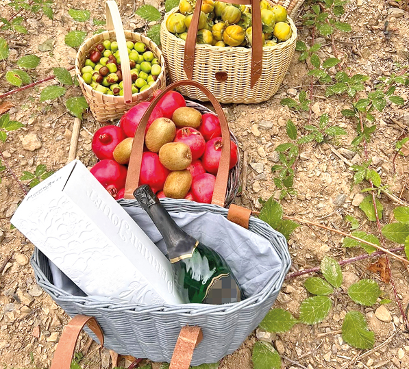 Фото представителей брендов