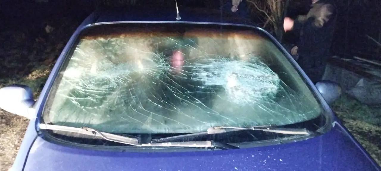 Нервный житель Симферопольского района поссорился с соседом и разбил битой его машину