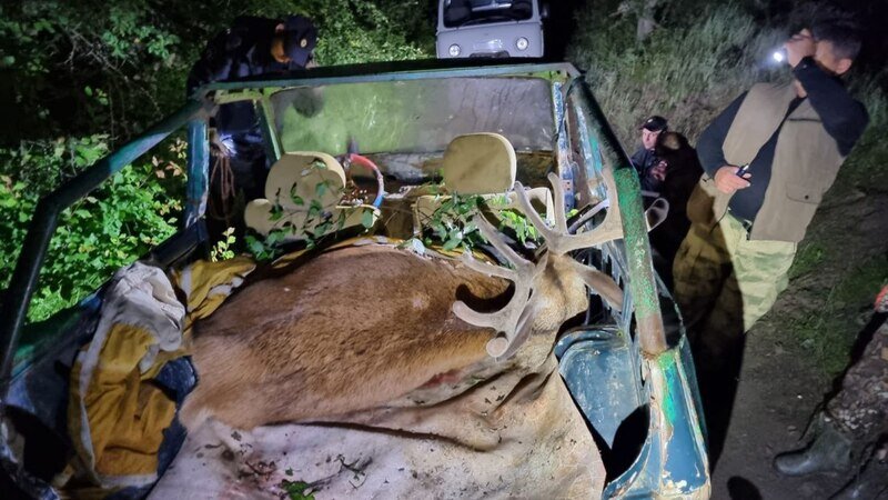 В Крыму задержаны двое убийц благородного оленя