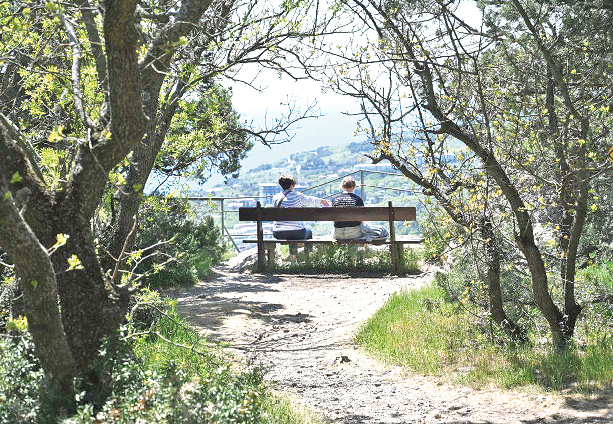 Почему на полуострове растёт число заболевших деревьев и как крымские леса будут спасать от насекомых-вредителей