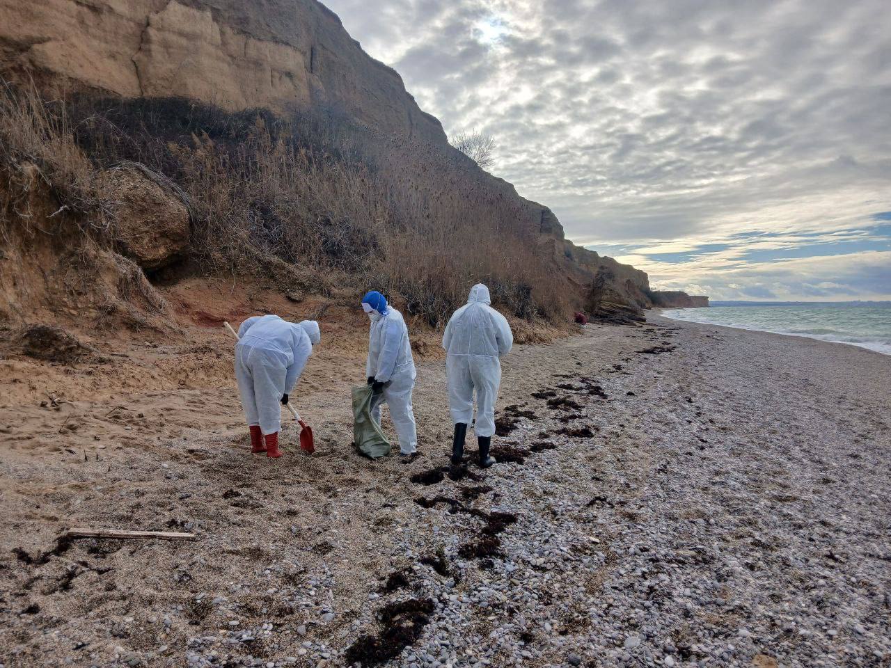 С побережья Севастополя вывезли около 90 тонн загрязнëнного мазутом грунта