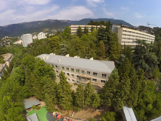 Поехала навестить больную мать: в Минобразования Крыма осудили задержание в Киеве директора ялтинской школы