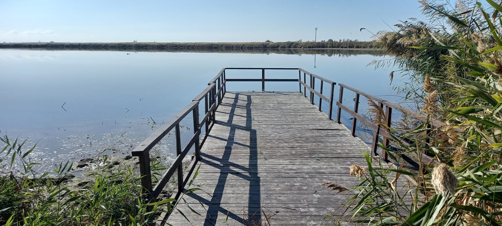 Смотровая вышка и плавучий пирс: в природном заказнике "Каламитский" можно понаблюдать за редкими птицами