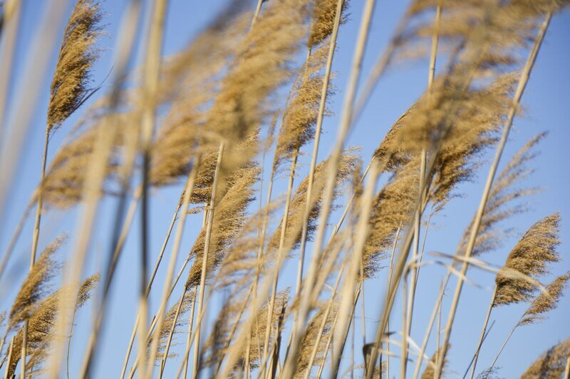 В понедельник в Симферополе до 22 градусов тепла