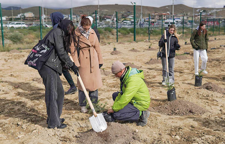 Под Судаком высадили более 3000 деревьев и кустарников