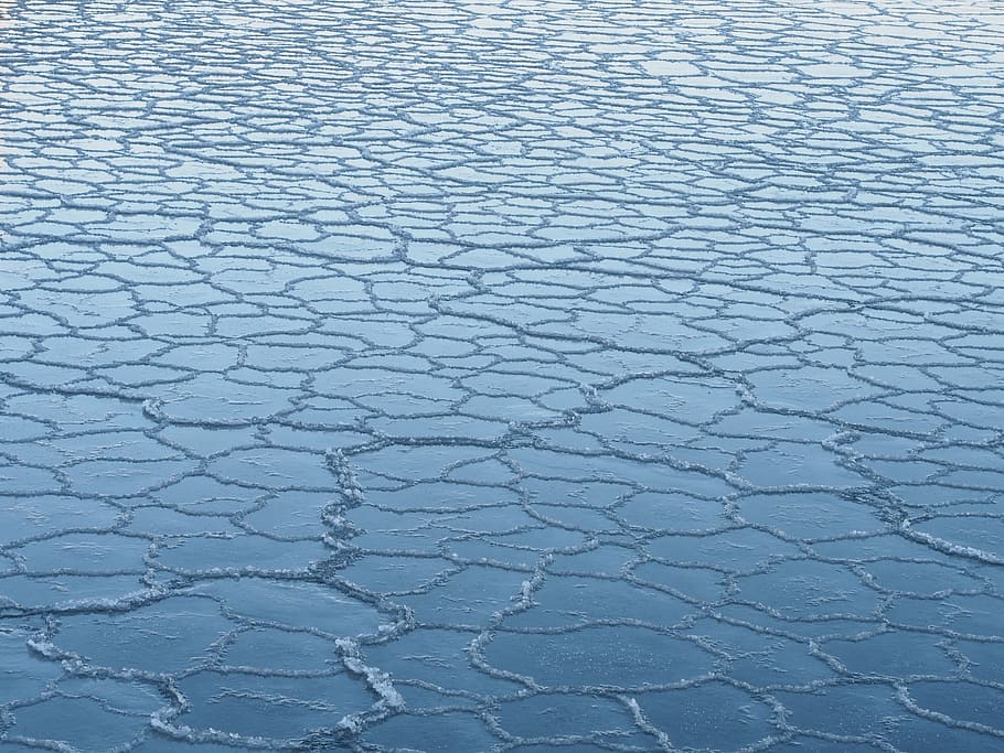 Правда ли, что лёд из морской воды пресный и какая часть света омывается морями всех океанов: рубрика интересных фактов