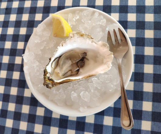 Эксперты рассказали, на что обращать внимание при выборе устриц