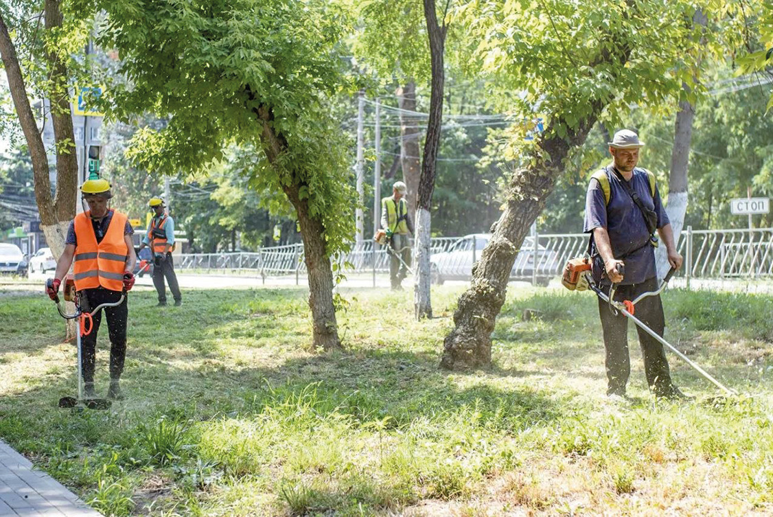 Осень без чихания: как пережить сезон пыльцы в Крыму и где искать спасение