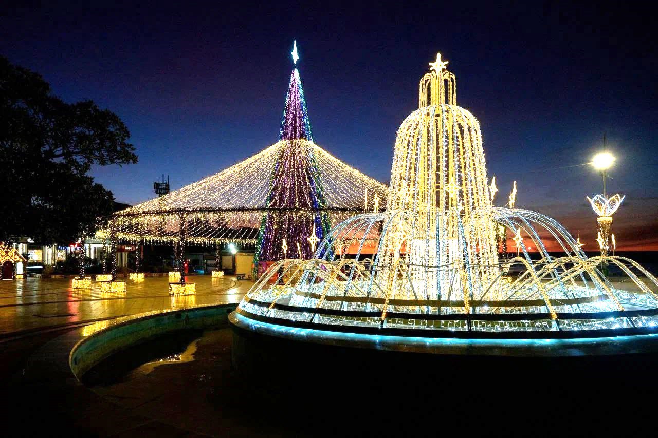 В Ялте скоро начнут устанавливать новогодние елки