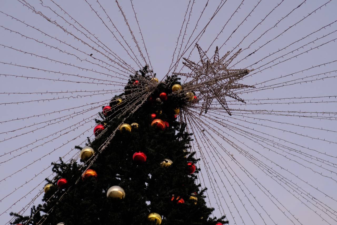 В Ялте защитят новогодние декорации от непогоды