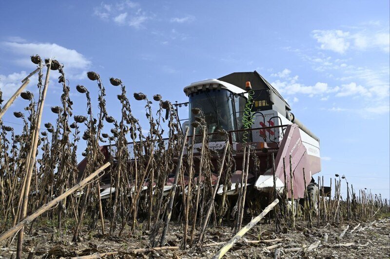 Новый завод в Крыму позволит производить более 9 тысяч тонн подсолнечного масла 