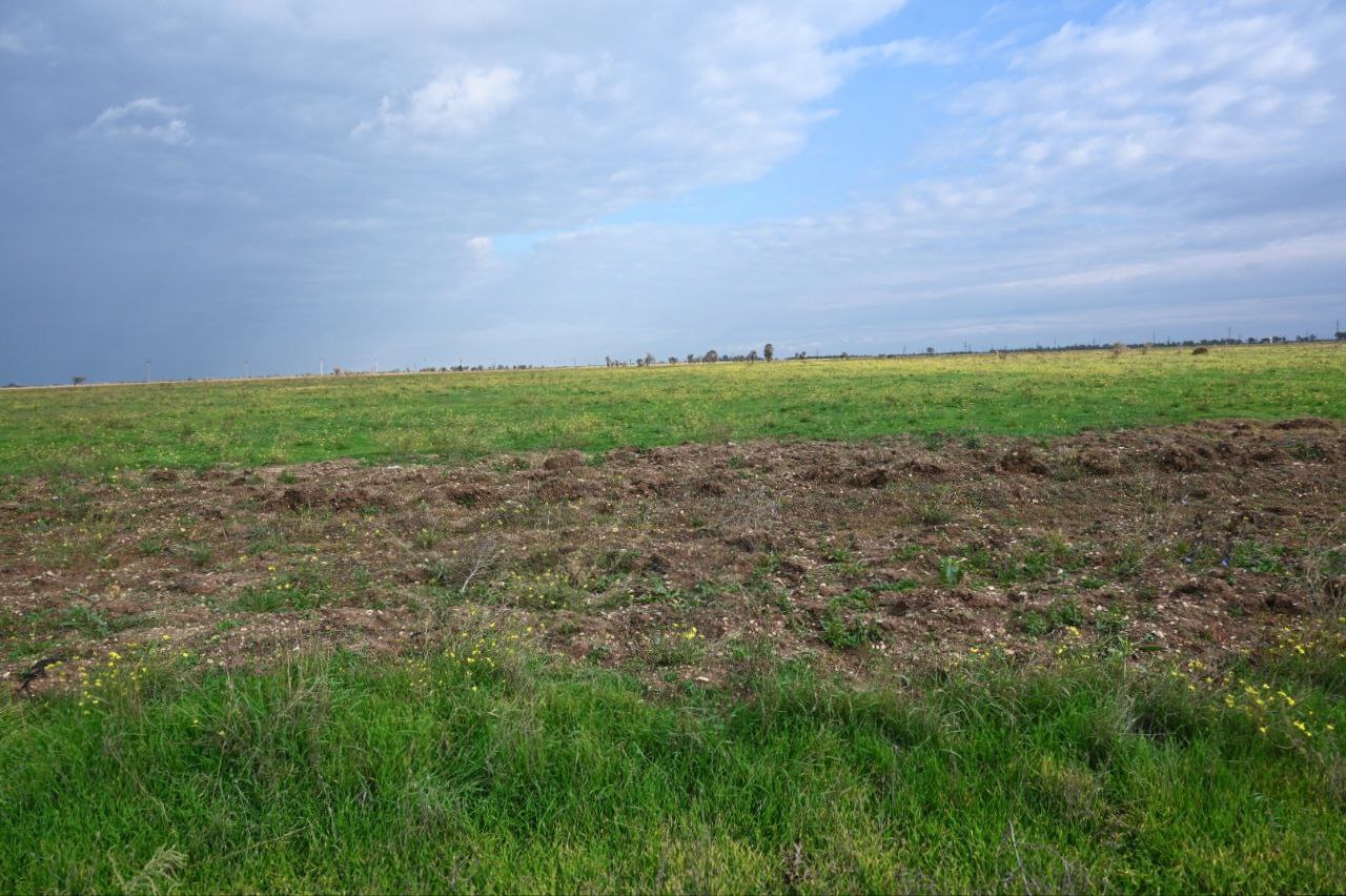 В Крыму рассказали, из-за чего у граждан могут изъять сельхоз участок