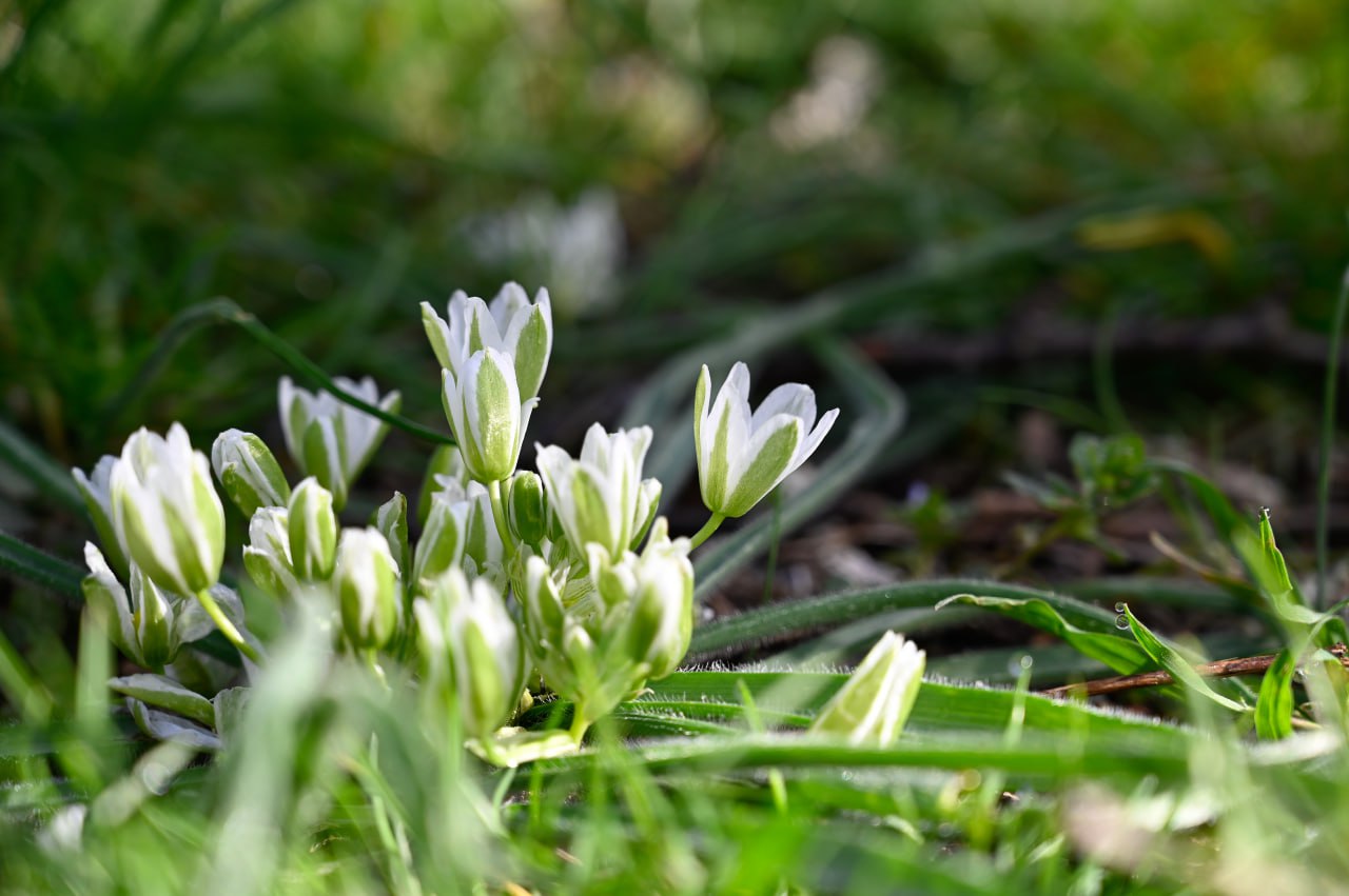 Зима заканчивается: в Крым идёт долгожданное потепление