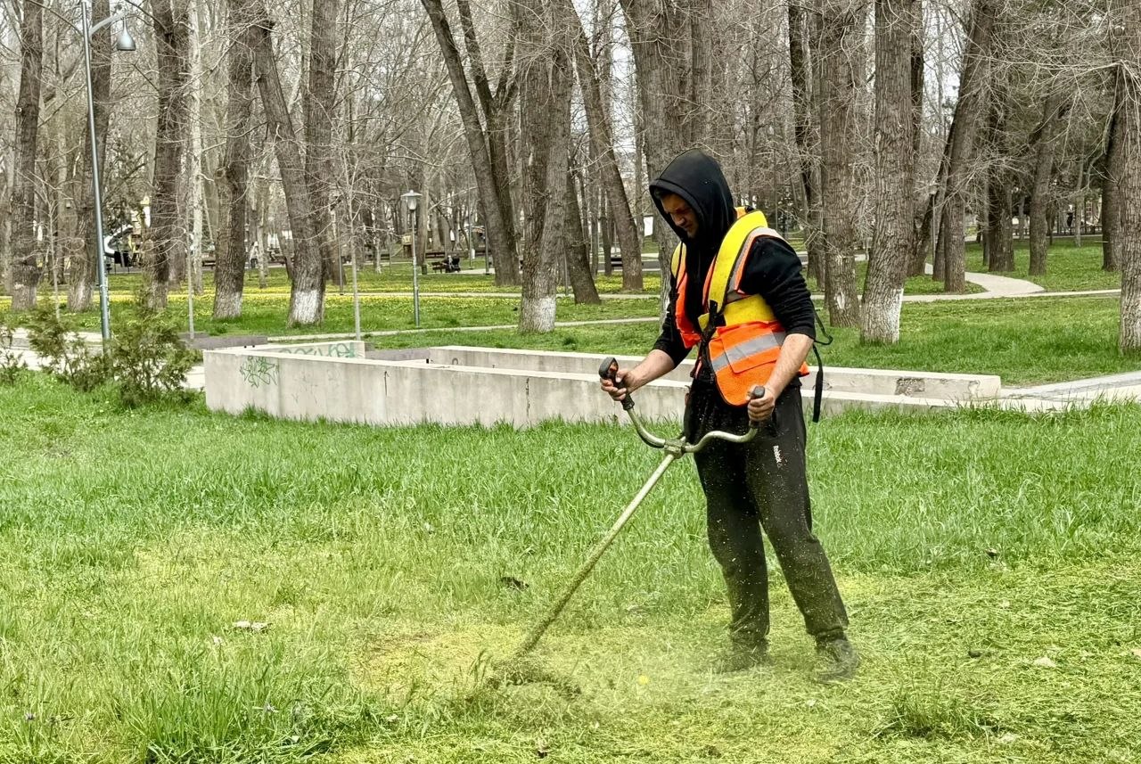 В парках и скверах Симферополя начался покос травы