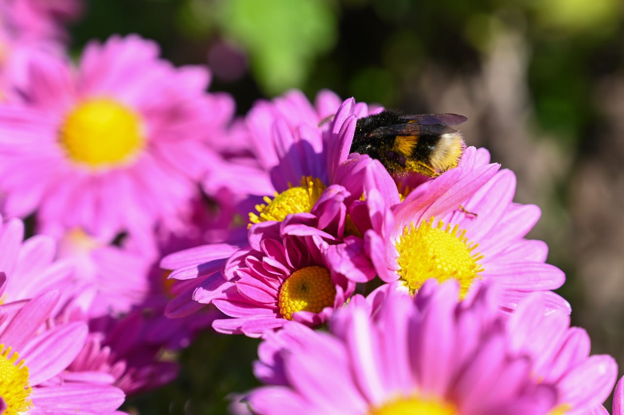 20 мая: какой сегодня день