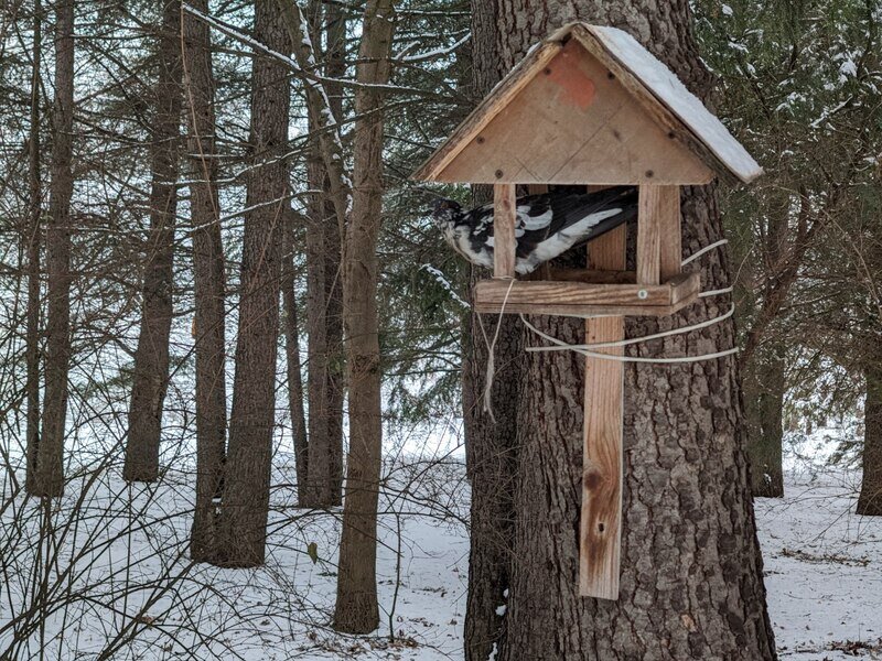 Погода в Крыму 1 февраля: холодно и пасмурно