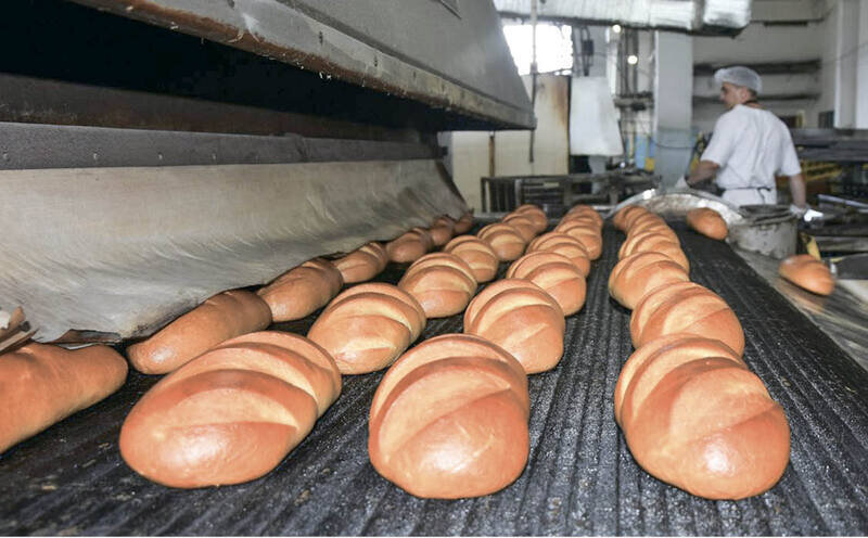 Грант в 100 миллионов рублей: куда могут трудоустроиться выпускники колледжей