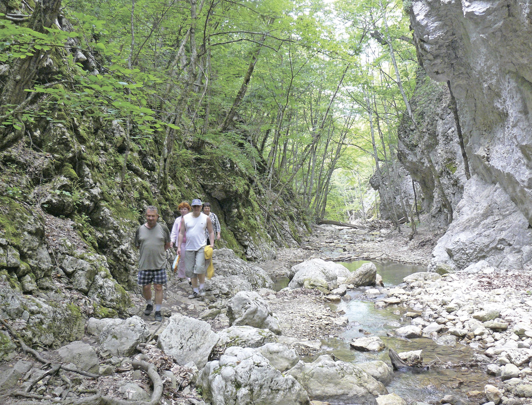 Тропой водопадов через каньон Арпата: какие горные реки могут посетить туристы в Восточном Крыму