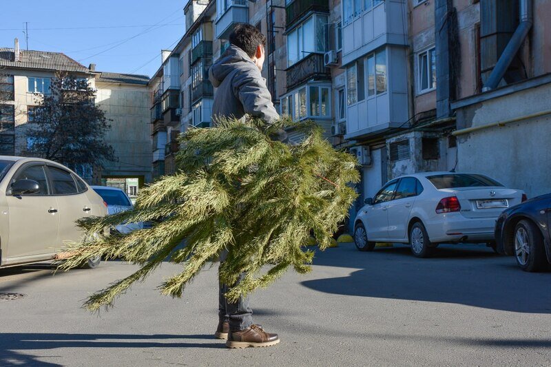 Полторы тысячи новогодних ёлок сдали жители Крыма на утилизацию