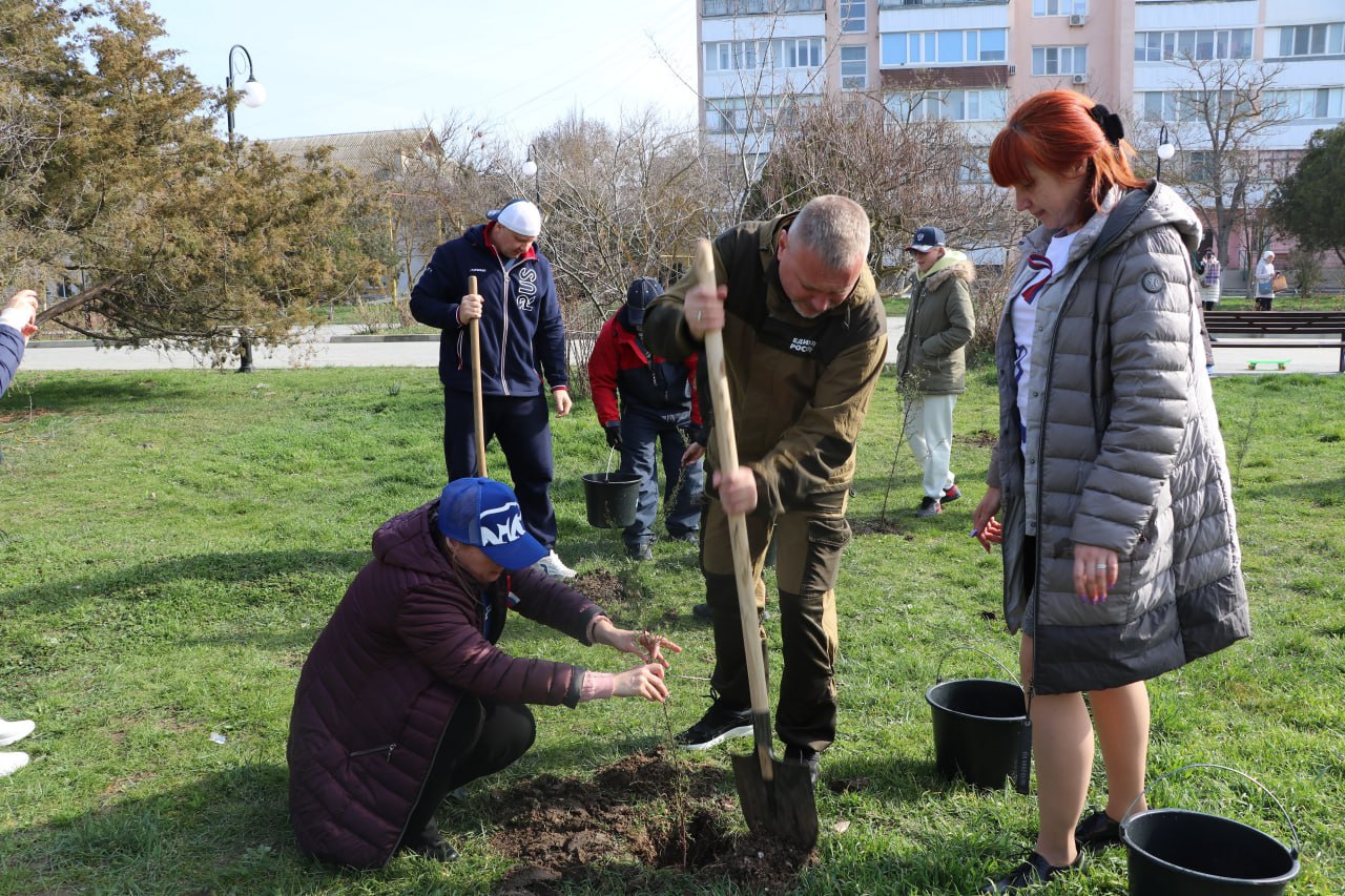 В Приморском под Феодосией высадили кипарисы