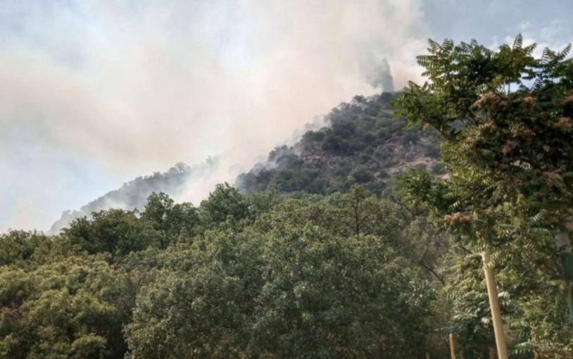 Пожар на горе Кастель ликвидируют более 100 огнеборцев