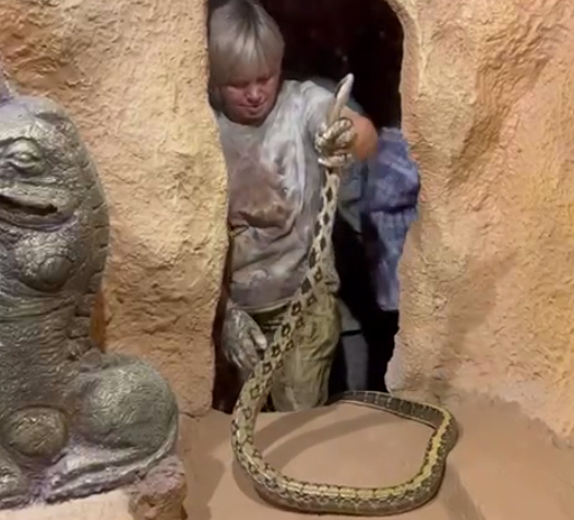 Змею, найденную на приусадебном участке в Гурзуфе, отправили в зоопарк