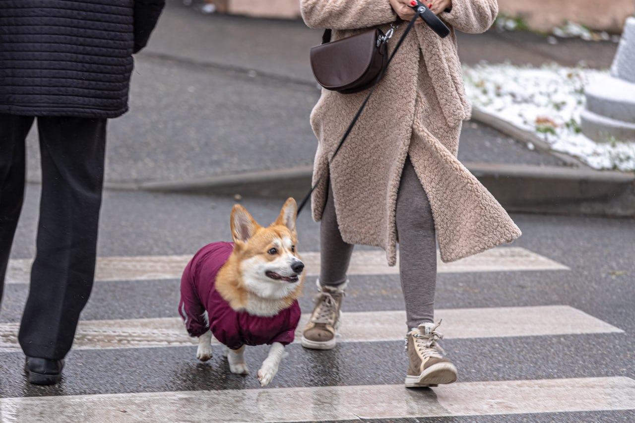 Погода в Крыму 11 февраля: днём до +5