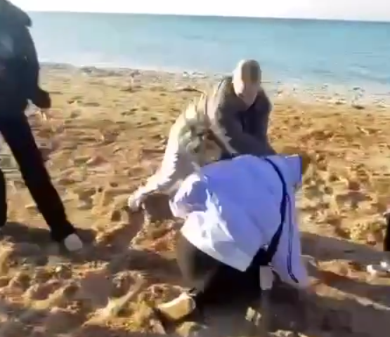 Следком Крыма проведёт проверку инцидента с избиением школьницы в Щелкино