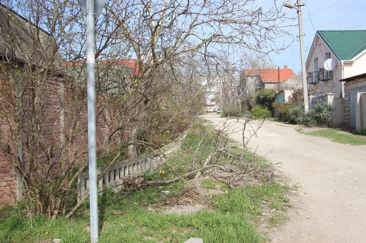 Штрафы за складирование веток: в Керчи выявлены нарушения правил благоустройства частных домов