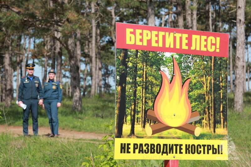 Пожароопасный сезон в Крыму: сотрудники МЧС проводят рейды в лесах