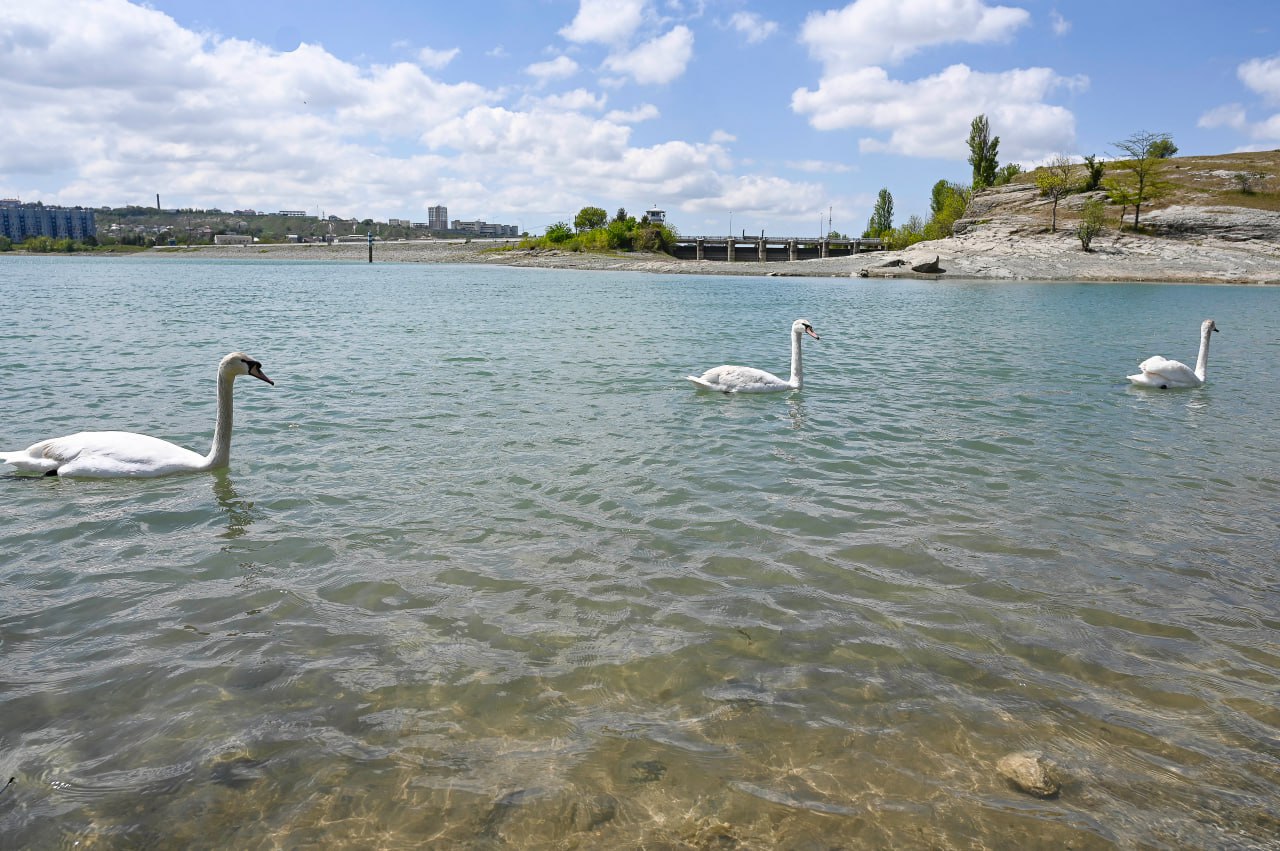 Водохранилища Крыма накопили 44% от полного проектного объёма