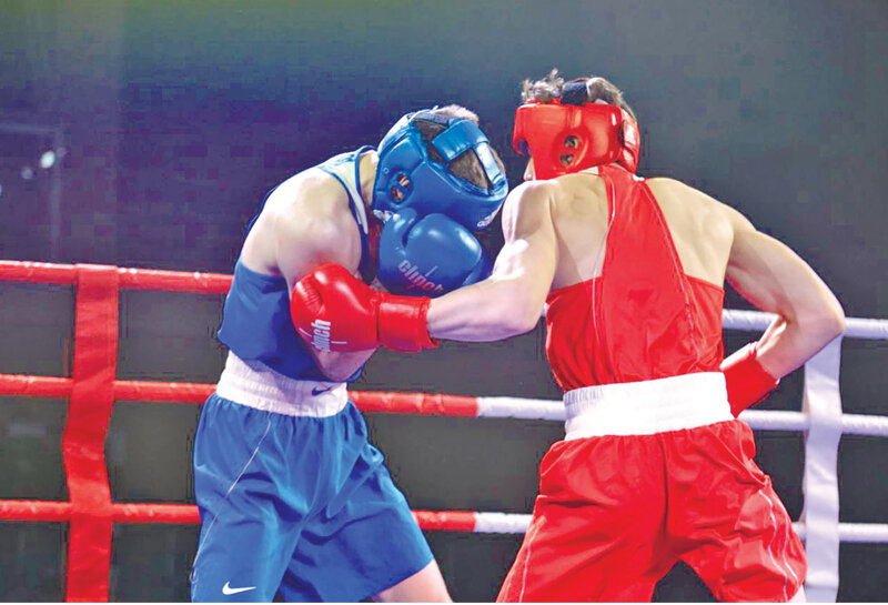 Крым держит удар: всё о боксе и победах на профессиональном ринге 
