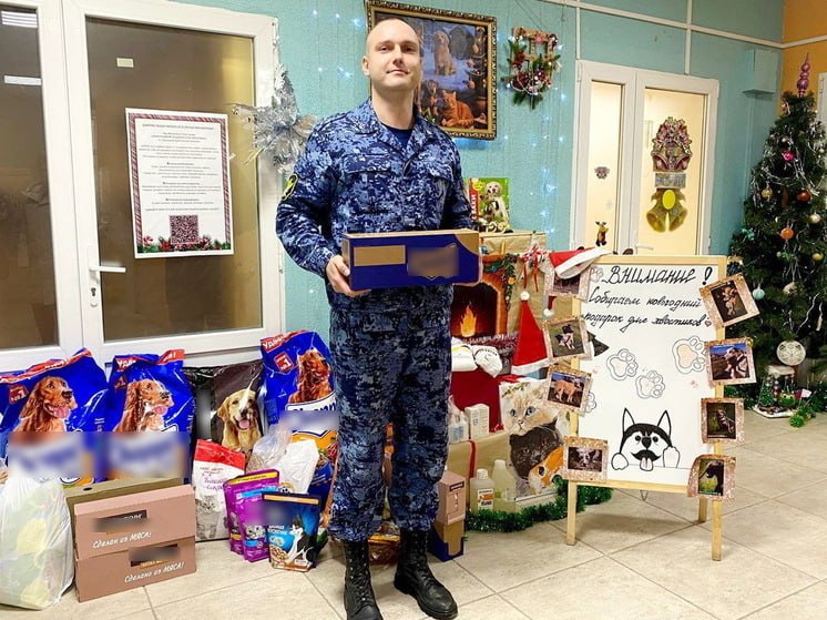 Сотрудники УФСИН по Крыму помогли бездомным животным