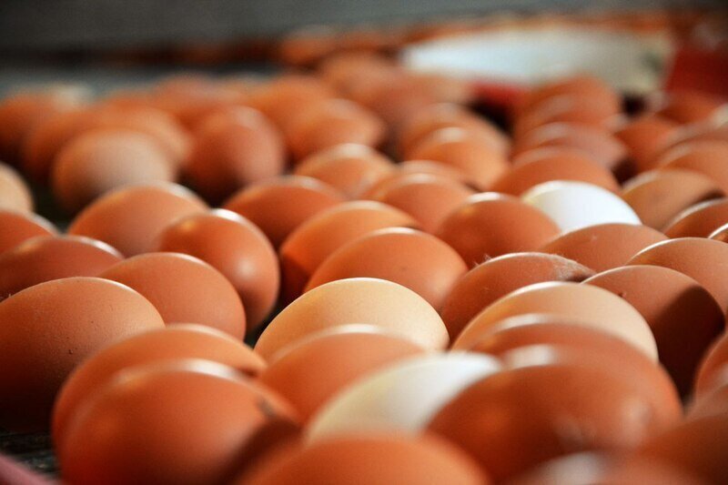 Власти назвали причину подорожания в Крыму куриных яиц 