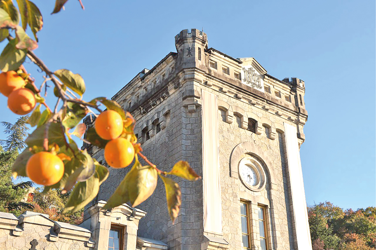 Сезон хурмы – до зимы: как не набрать вес и не испортить желудок сладким фруктом