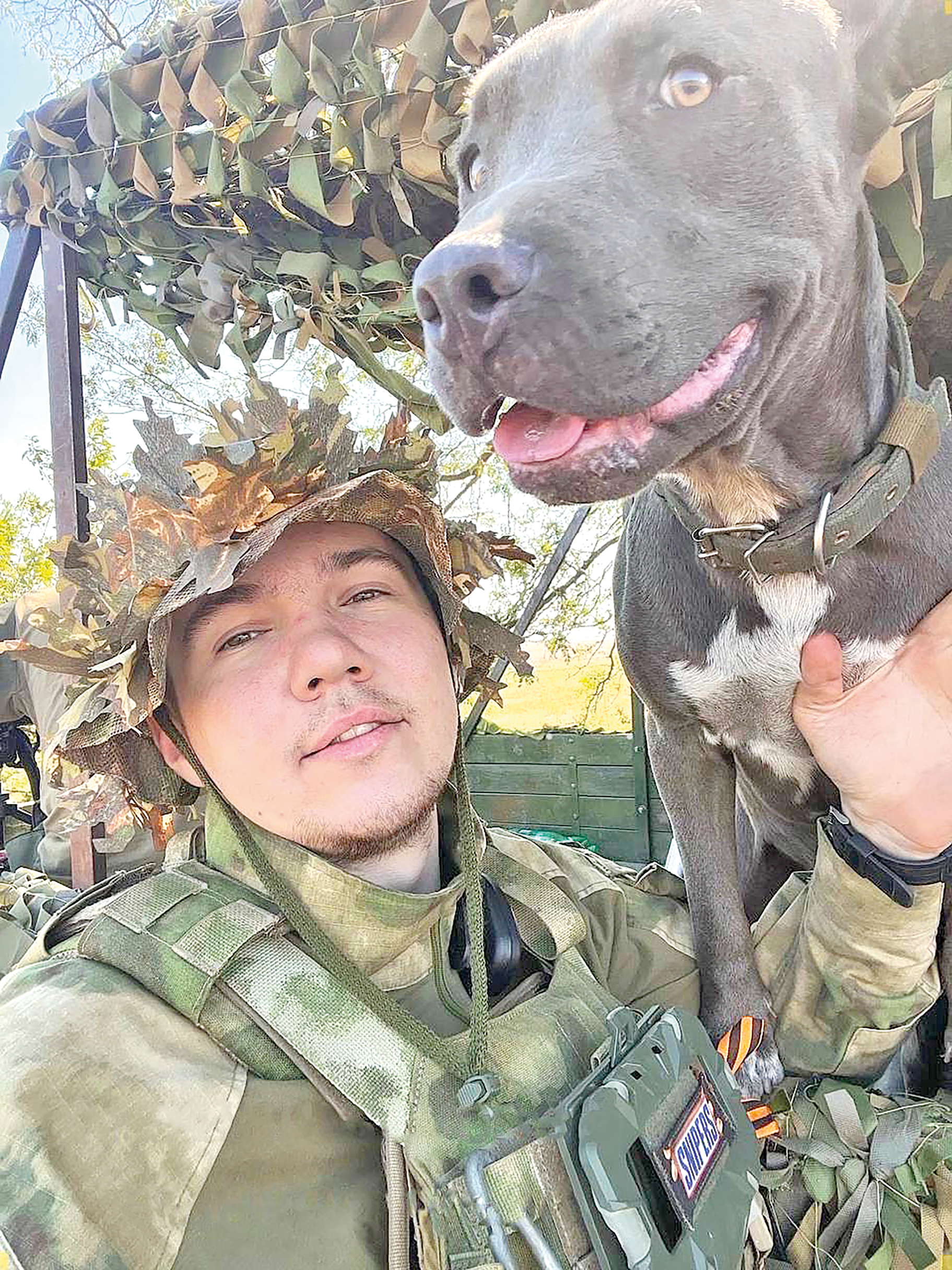 Своих не бросают: как хвостатые бойцы помогают солдатам в зоне СВО