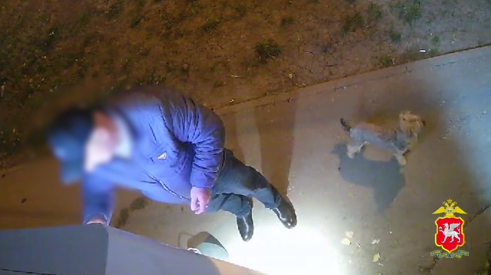 В Крыму пенсионер похитил йоркширского терьера и был пойман 