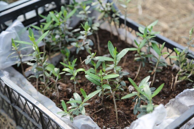 Какой сегодня праздник: 22 мая