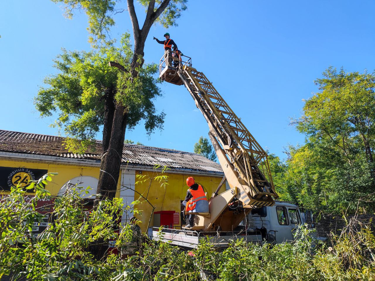 В Симферополе на улице Маяковского проводится обрезка деревьев