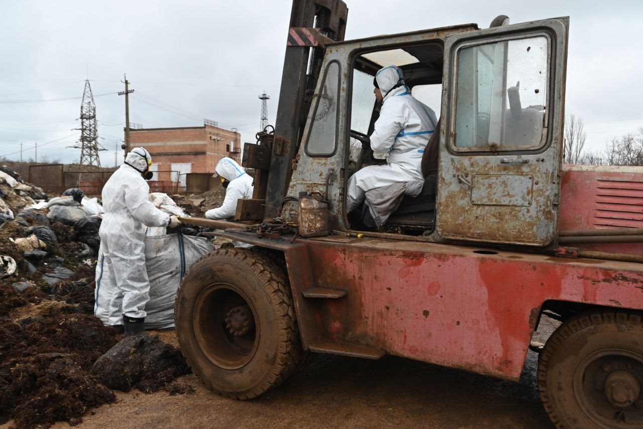 Путин ожидает активных действий от созданной правительственной комиссии по ликвидации последствий разлива мазута в Керченском проливе