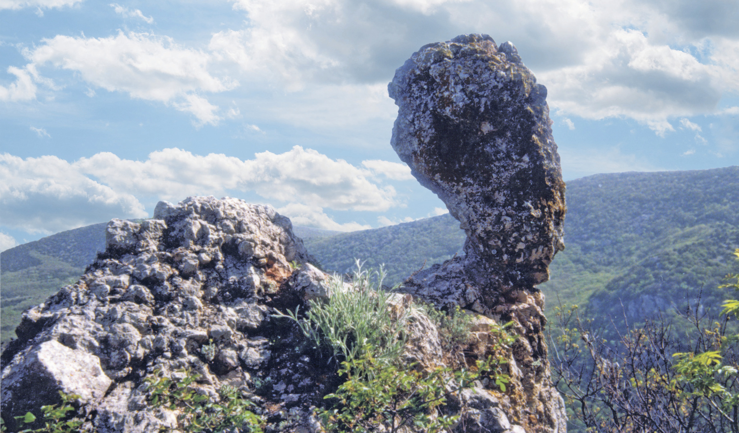 Что объединяет скульптуры Нефертити в Крыму и на Тайване