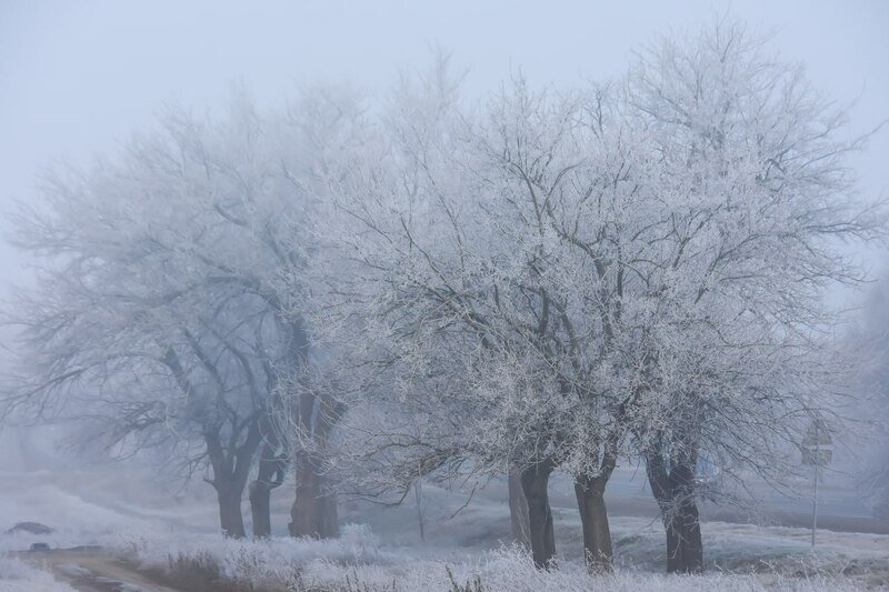 На Крым идут дожди со снегом