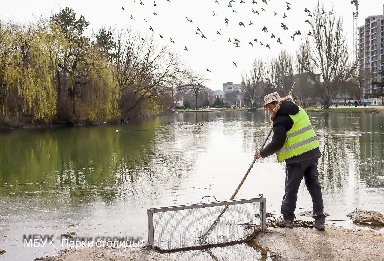 В Гагаринском парке Симферополя чистят пруд