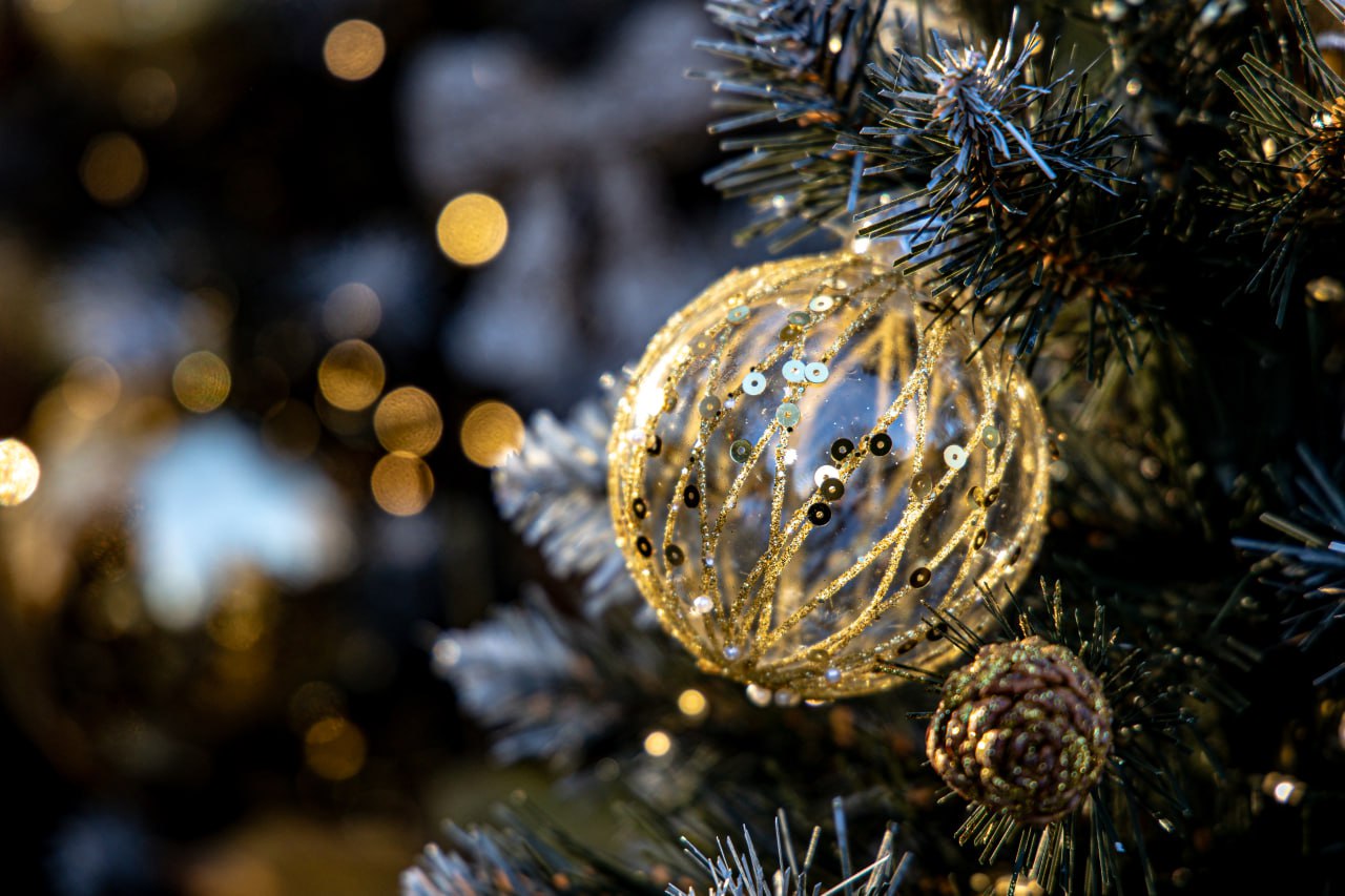В Ялте с 14 декабря начнут работать ёлочные базары и новогодние ярмарки: адреса