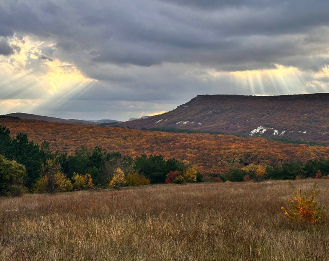 В Крыму создадут заказник «Холодная балка» площадью 69 гектаров