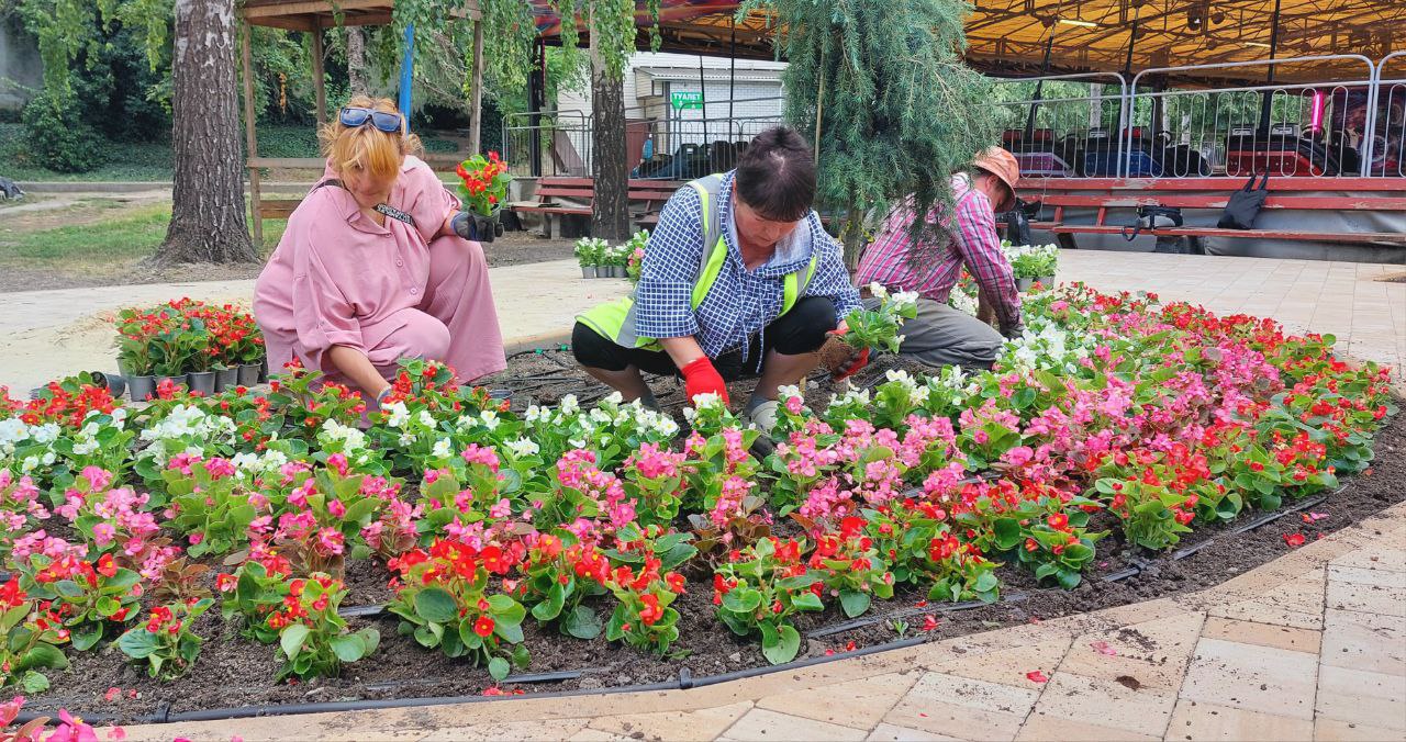 Гагаринский парк Симферополя украсят 3000 ярких бегоний