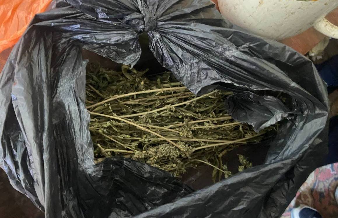 Крымчанина осудят за хранение свыше 2 кг конопли