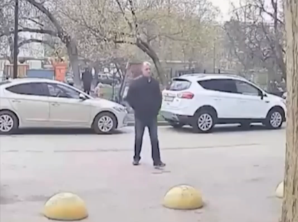 Преподаватель-живодёр отстранён от работы в крымском университете за избиение собаки