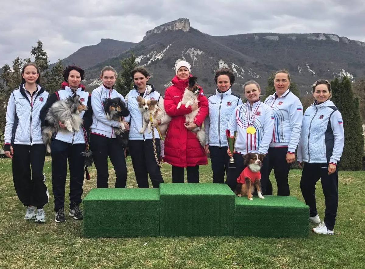 В Бахчисарайском районе прошёл чемпионат по кинологическому спорту