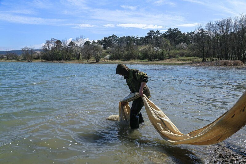 Водохранилища Крыма зарыбят миллионом мальков